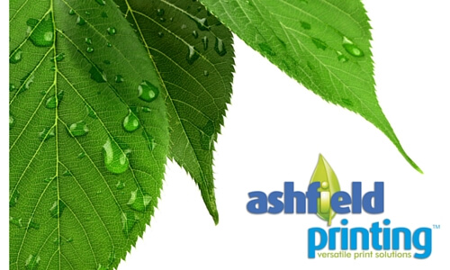 Ash leaf and ashfield printing logo